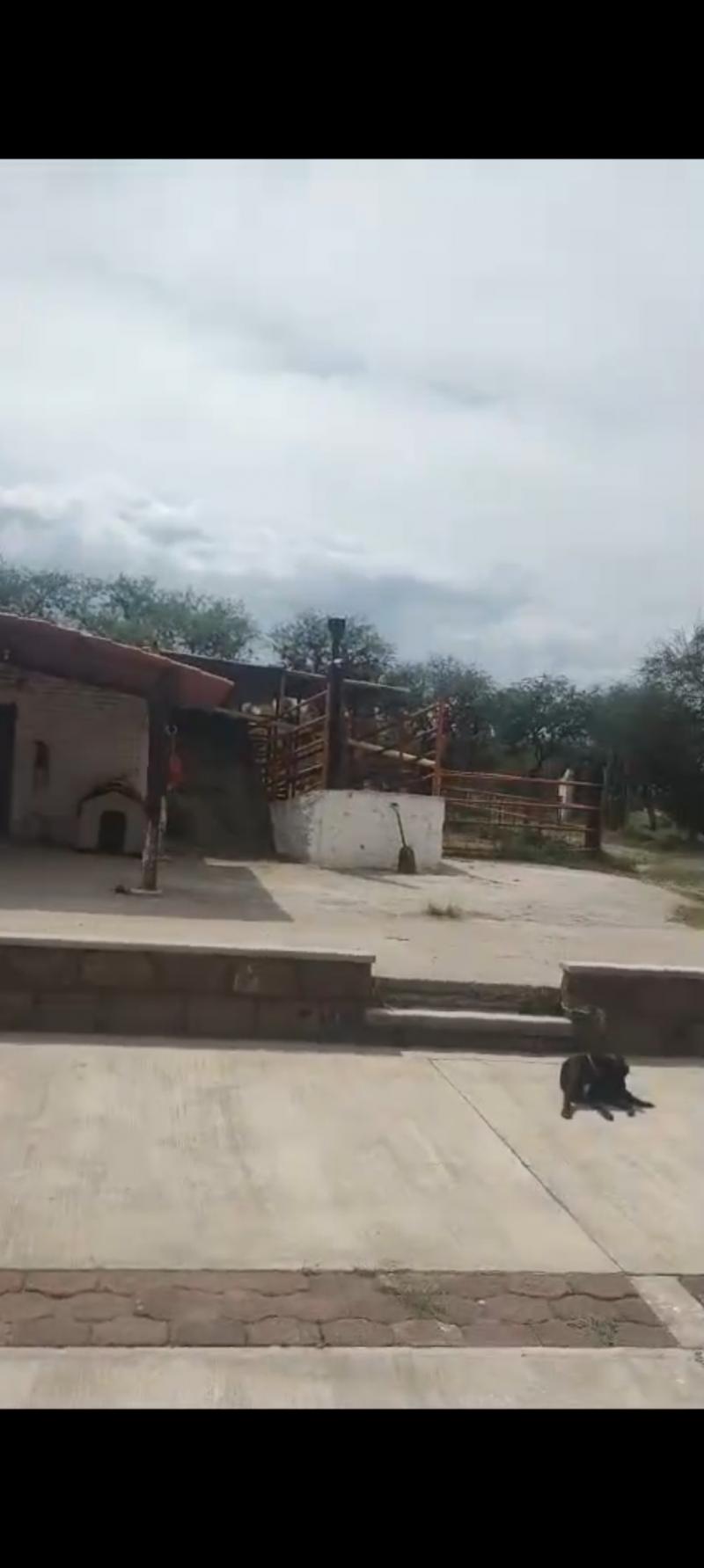 Venta de Rancho  en VILLA DE REYES en VILLA DE REYES