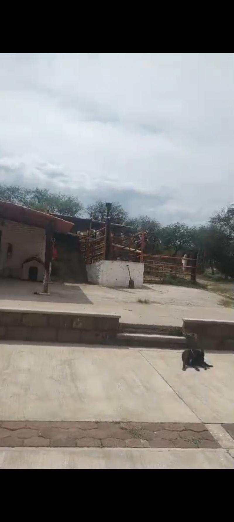 Venta de Rancho  en VILLA DE REYES en VILLA DE REYES