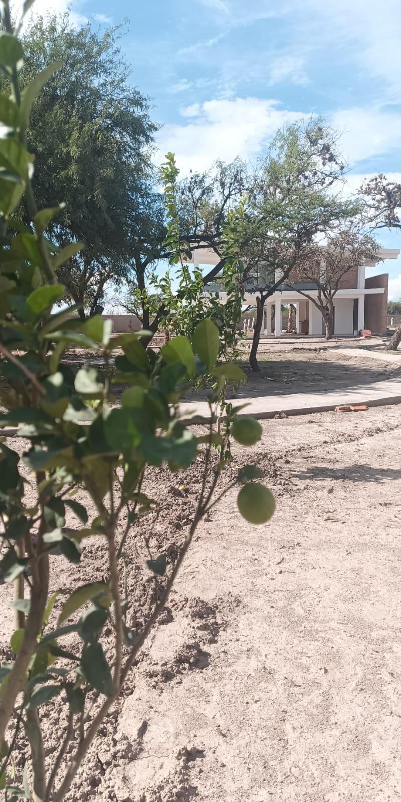 Venta de Terreno  en  en DANZA DE LUZ VILLA DE POZOS