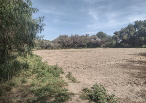 Venta de Terreno en SOLEDAD DE GRACIANO SANCHEZ