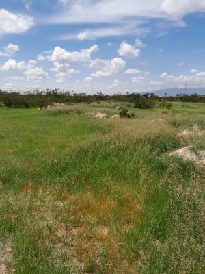 Venta de Terreno en CERRO DE SAN PEDRO