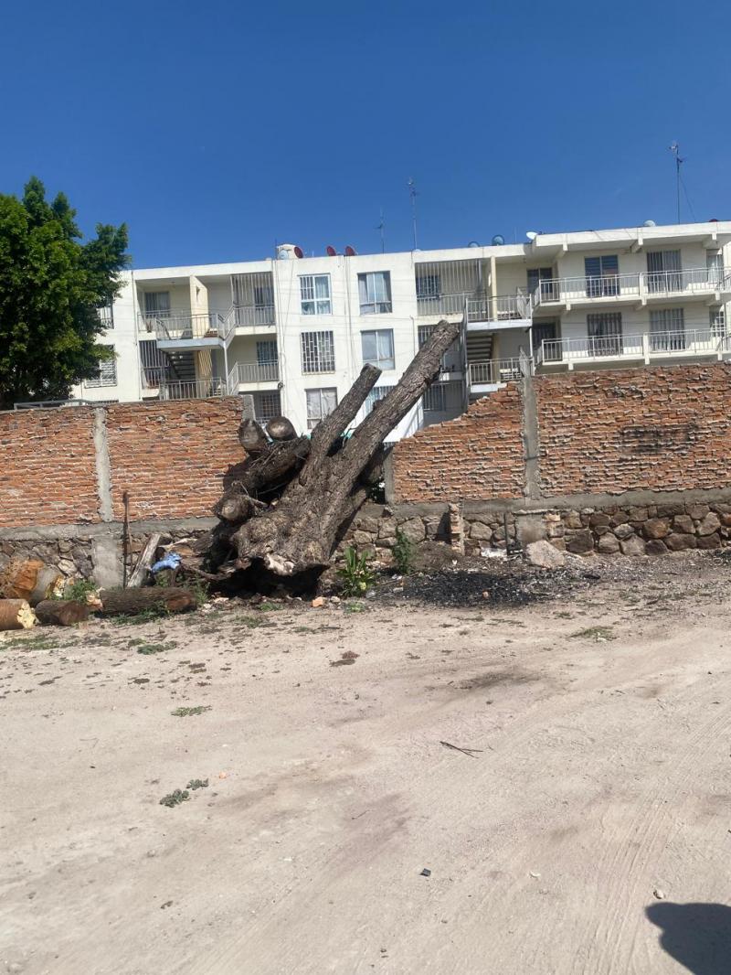 Venta de Terreno  en SAN LUIS POTOSI en GENERAL I MARTINEZ