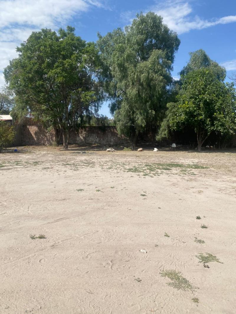 Venta de Terreno  en SAN LUIS POTOSI en GENERAL I MARTINEZ