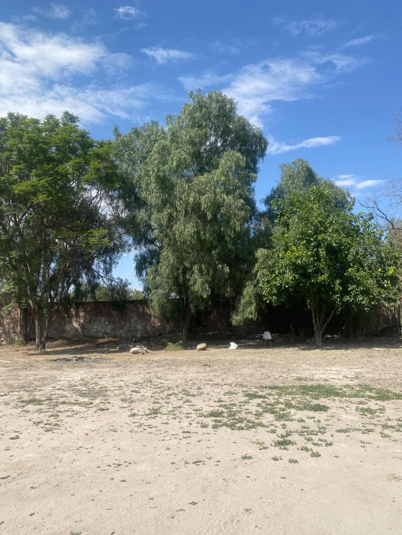 Venta de Terreno  en SAN LUIS POTOSI en GENERAL I MARTINEZ