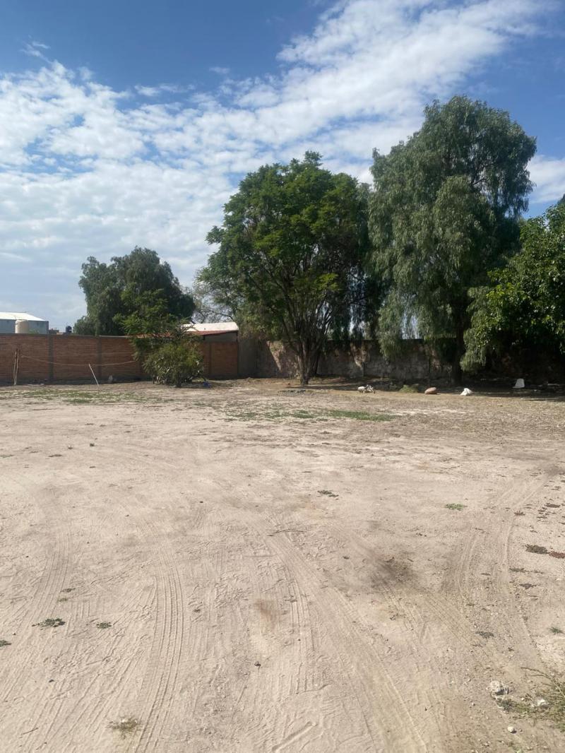 Venta de Terreno  en SAN LUIS POTOSI en GENERAL I MARTINEZ