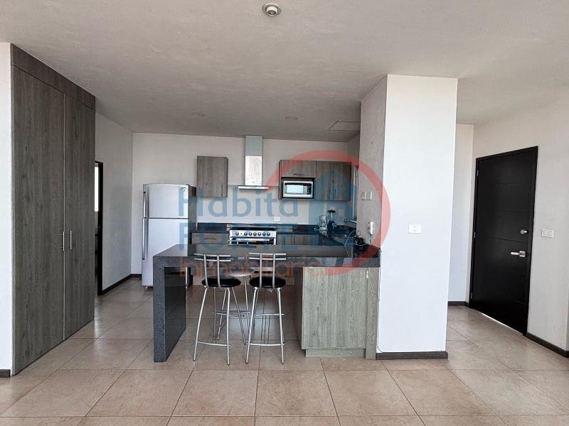 Renta de Departamento  en QUERETARO en VIVEROS