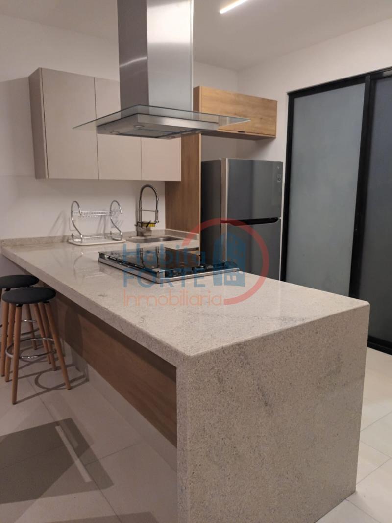 Renta de Departamento  en SAN LUIS POTOSI en CUITLAHUAC