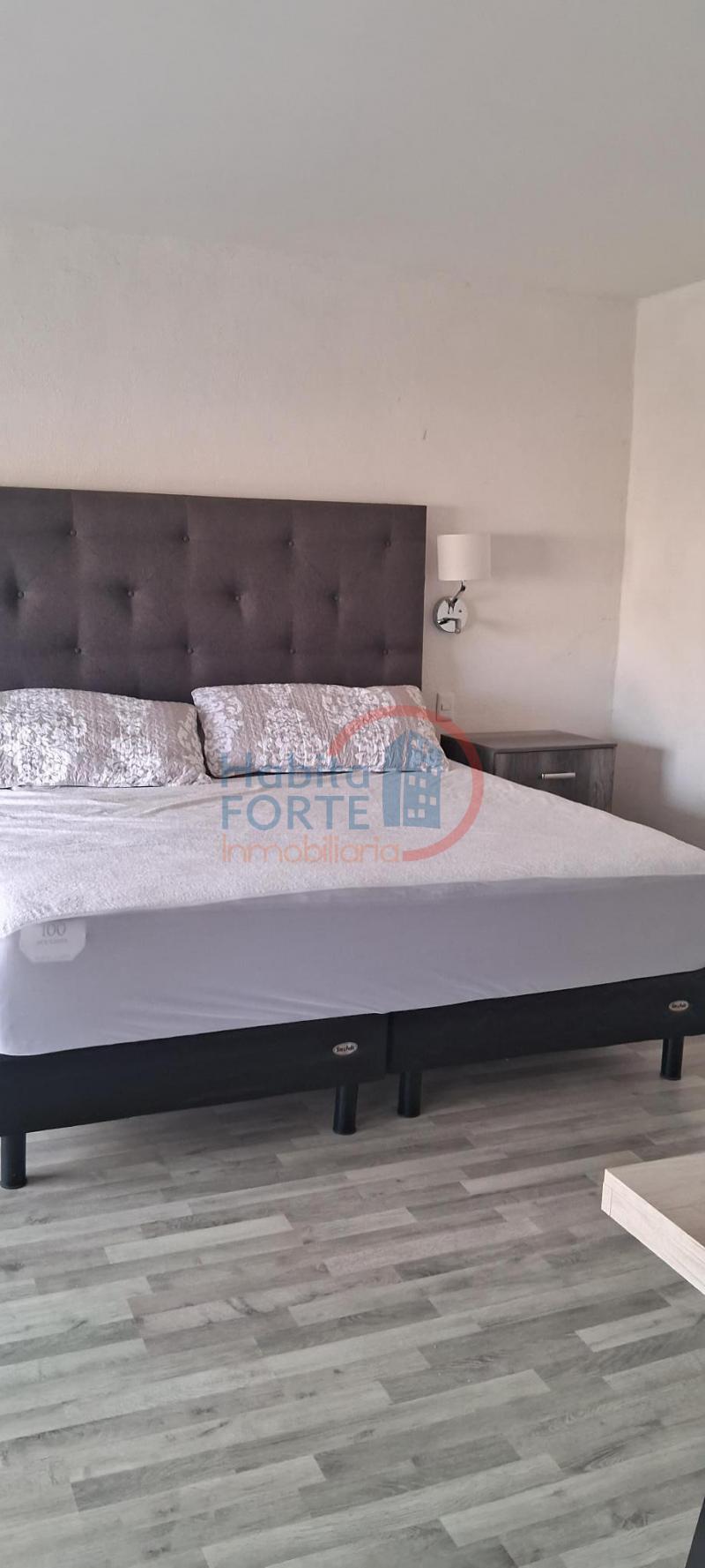 Renta de Amueblado  en SAN LUIS POTOSI en CONDOMINIO MIXTO LA LOMA