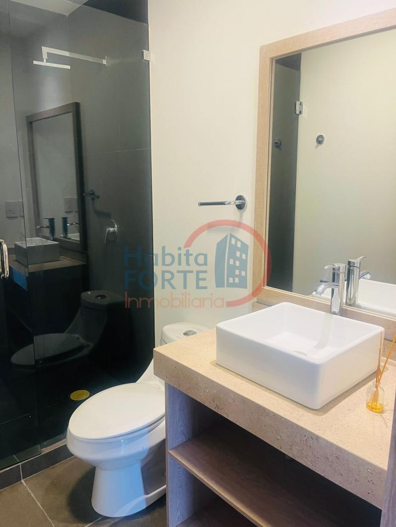 Renta de Departamento  en QUERETARO en EL SALITRE