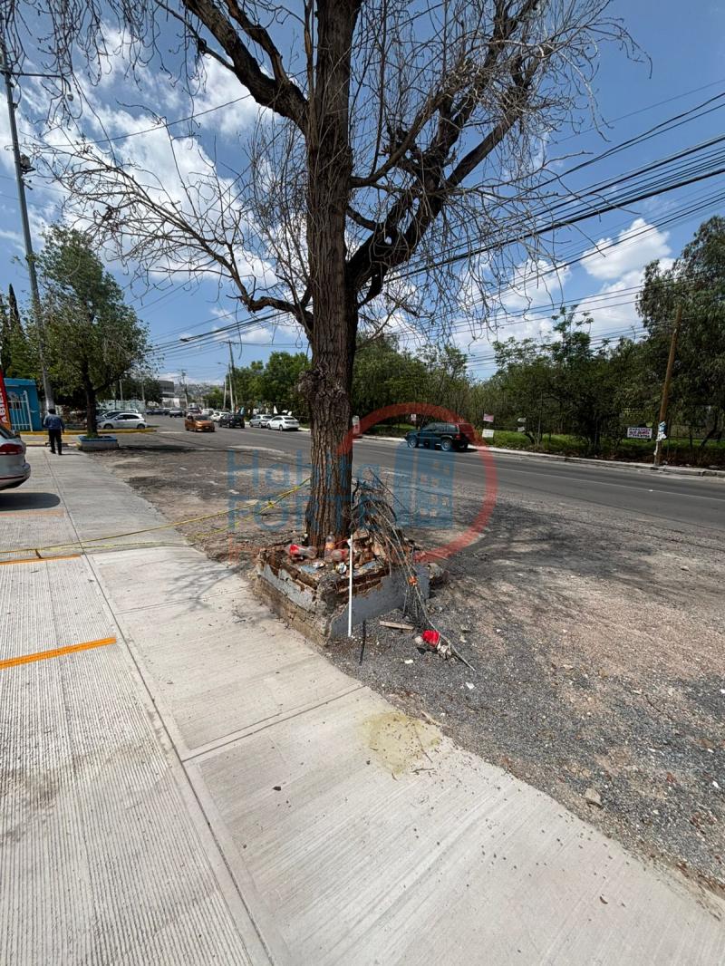 Renta de Local  en  en PEÑUELAS 