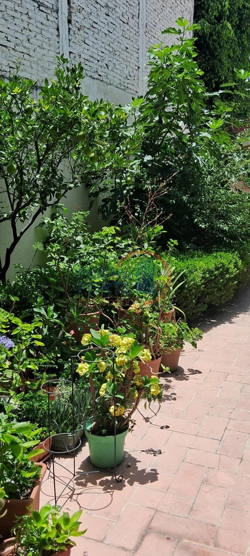 Venta de Casa  en SAN LUIS POTOSI en TANGAMANGA