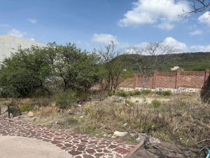 Venta de Terreno en ALTOZANO