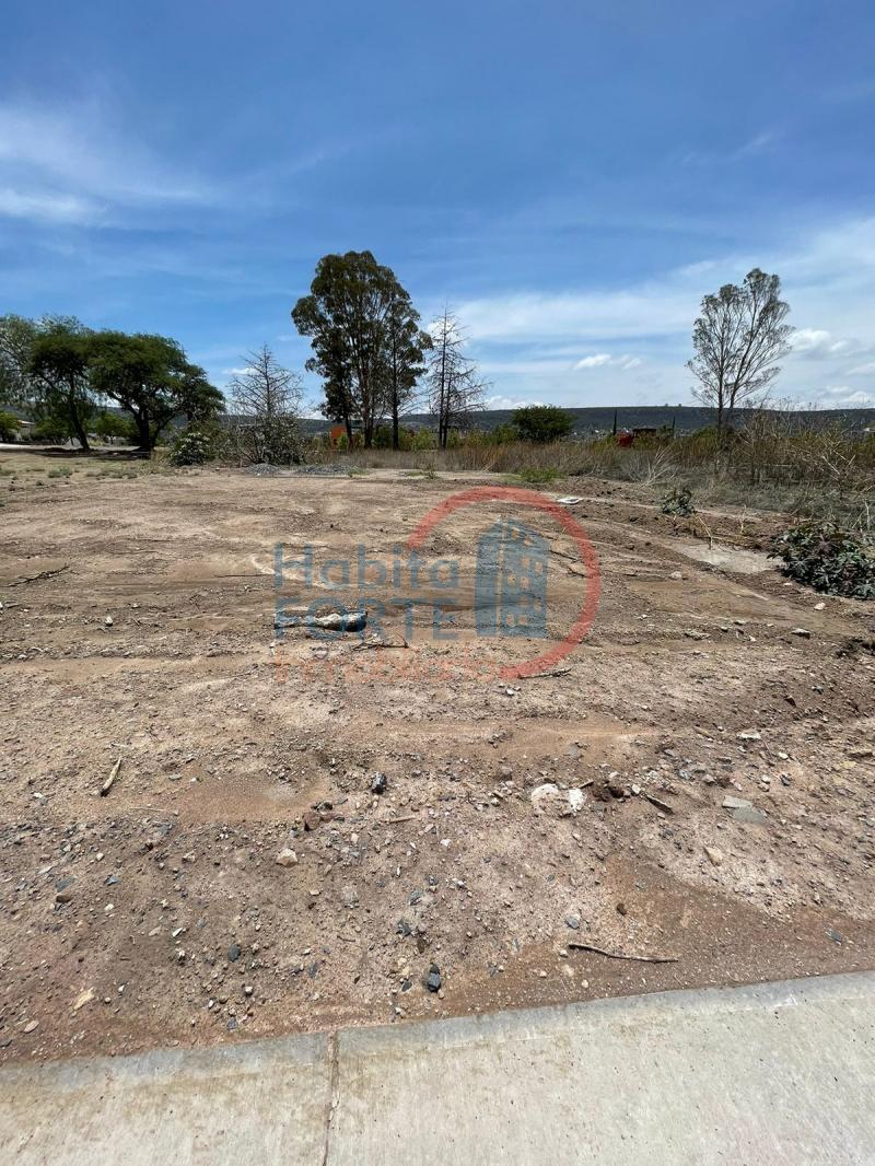 Venta de Terreno  en SAN MIGUEL DE ALLENDE en SAN MIGUEL DE ALLENDE
