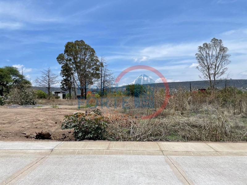Venta de Terreno  en SAN MIGUEL DE ALLENDE en SAN MIGUEL DE ALLENDE