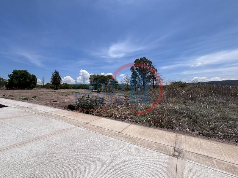 Venta de Terreno  en SAN MIGUEL DE ALLENDE en SAN MIGUEL DE ALLENDE