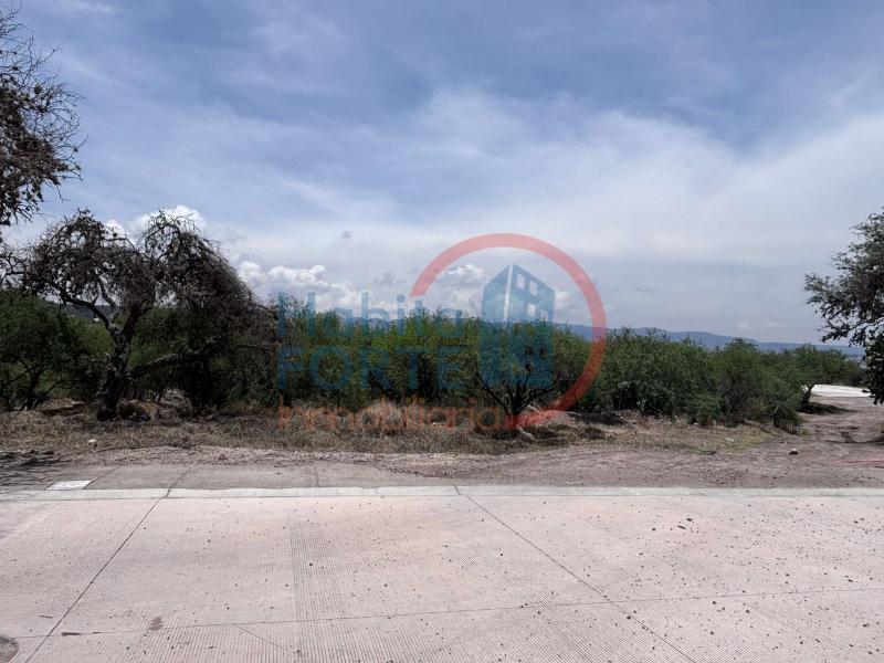 Venta de Terreno  en SAN MIGUEL DE ALLENDE en SAN MIGUEL DE ALLENDE
