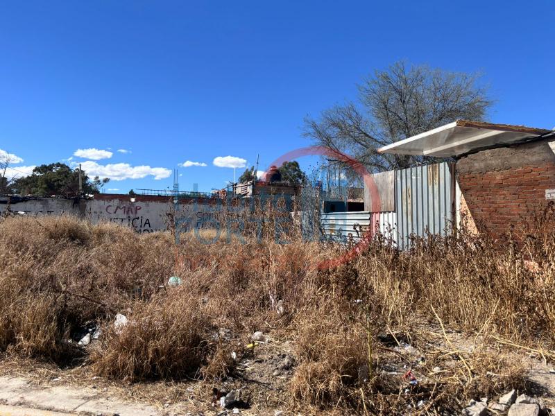 Venta de Terreno en SAN LUIS POTOSI, GENERAL I MARTINEZ