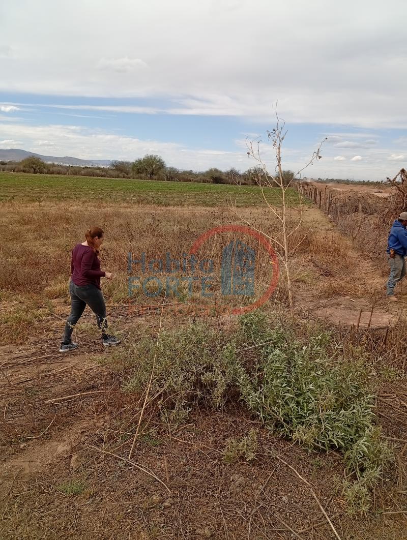 Venta de Terreno rustico en SAN LUIS POTOSI, EL JARALITO