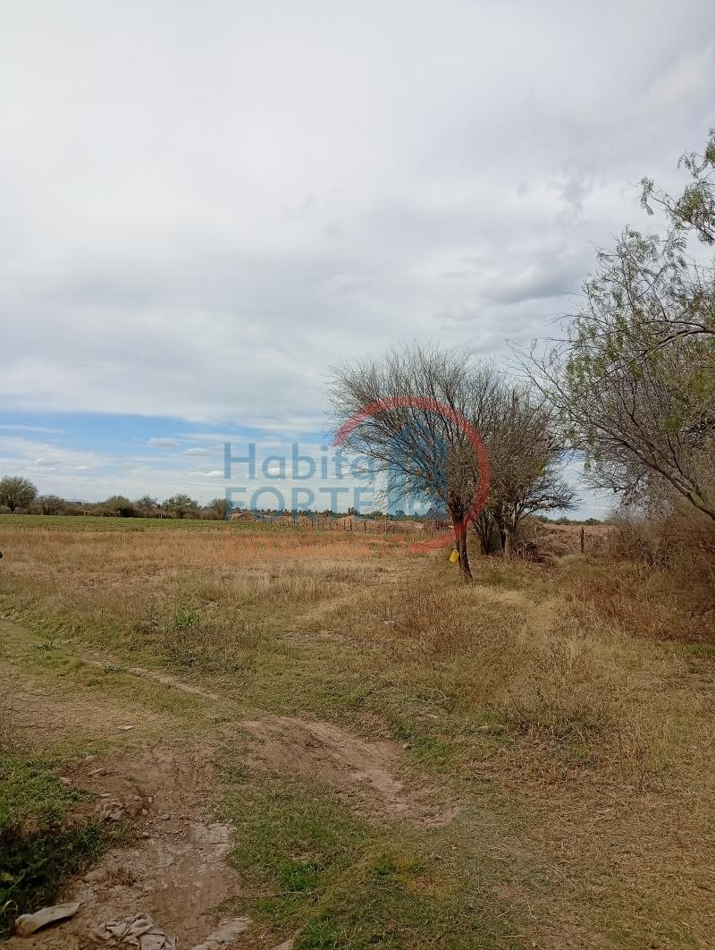 Venta de Terreno rustico en SAN LUIS POTOSI, EL JARALITO