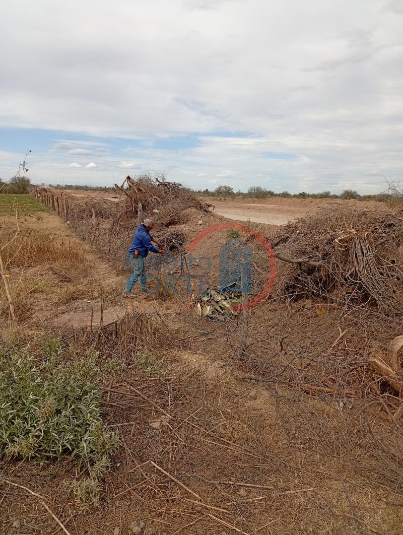 Venta de Terreno rustico en SAN LUIS POTOSI, EL JARALITO