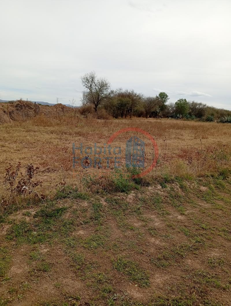 Venta de Terreno rustico en SAN LUIS POTOSI, EL JARALITO