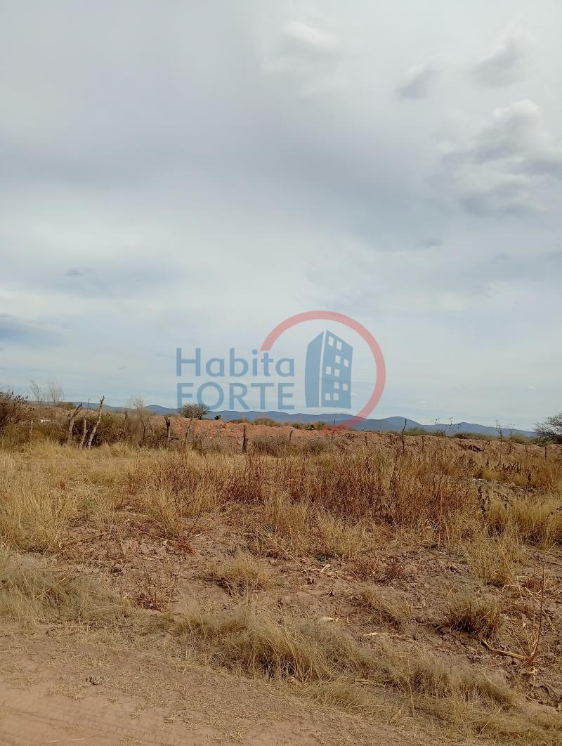 Venta de Terreno rustico en SAN LUIS POTOSI, EL JARALITO