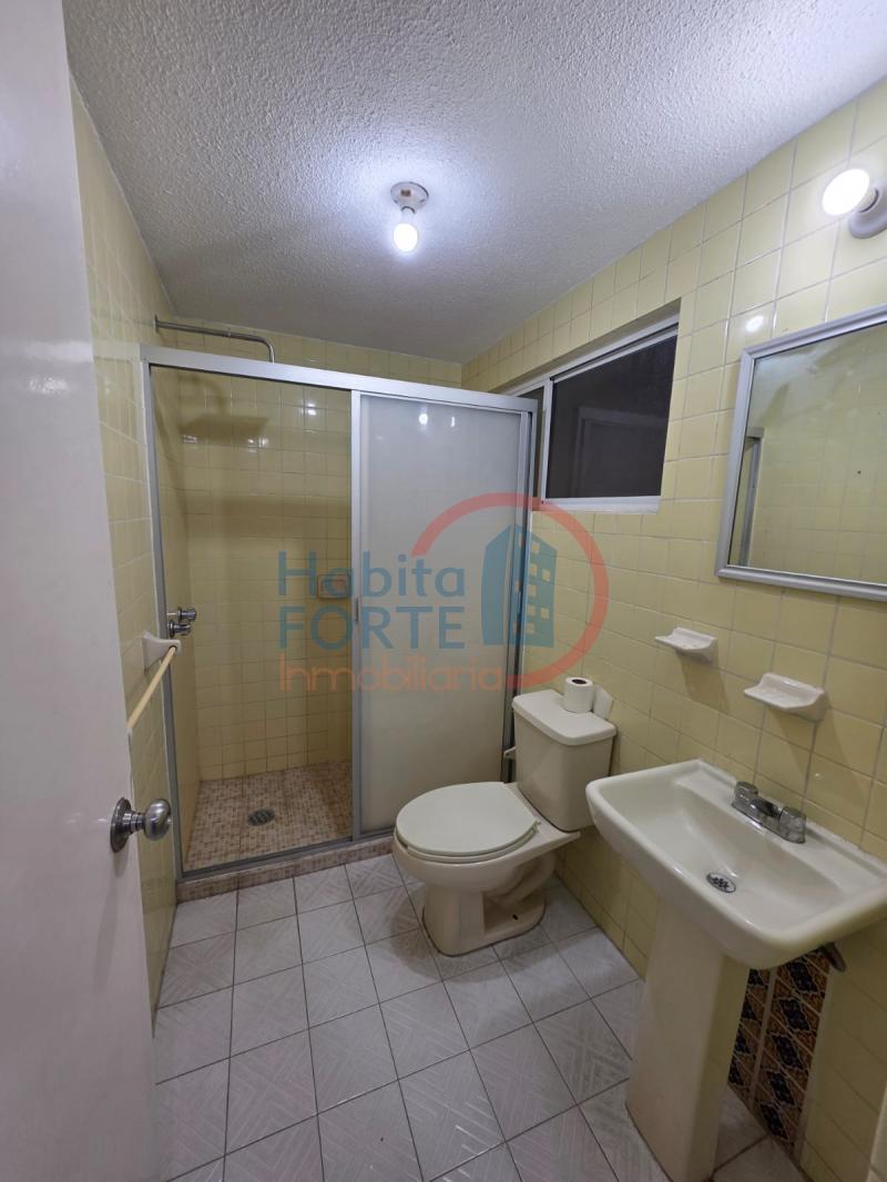Renta de Departamento en SAN LUIS POTOSI, TEQUISQUIAPAN