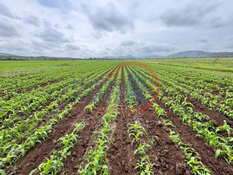 Venta de Rancho en SANTA MARIA DEL RIO, SANTA MARIA DEL RIO