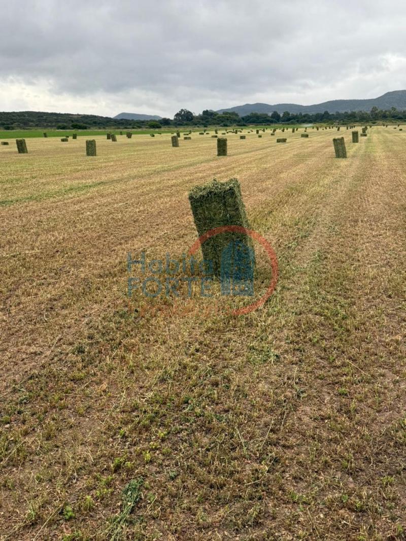Venta de Rancho en SANTA MARIA DEL RIO, SANTA MARIA DEL RIO