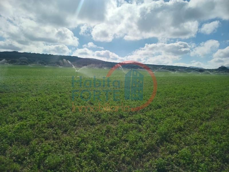 Venta de Rancho en SANTA MARIA DEL RIO, SANTA MARIA DEL RIO