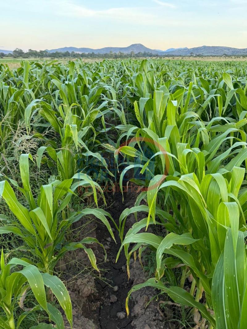 Venta de Rancho en SANTA MARIA DEL RIO, SANTA MARIA DEL RIO