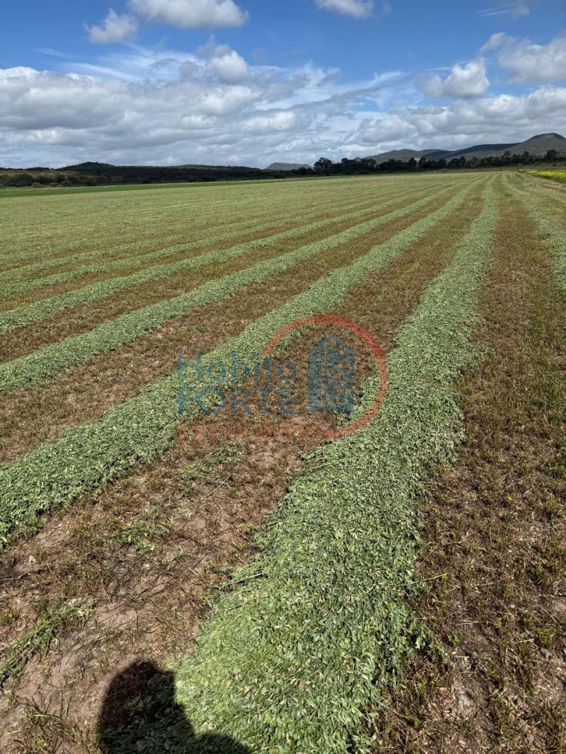 Venta de Rancho en SANTA MARIA DEL RIO, SANTA MARIA DEL RIO