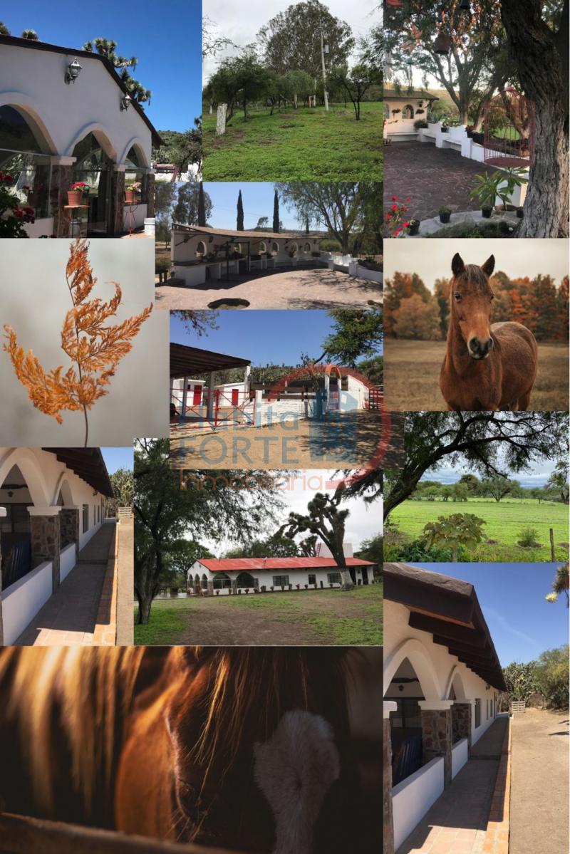 Venta de Rancho en SAN LUIS POTOSI, CARRETERA RIO VERDE