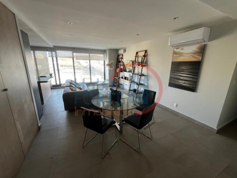 Renta de Departamento en , DESARROLLO DEL PEDREGAL