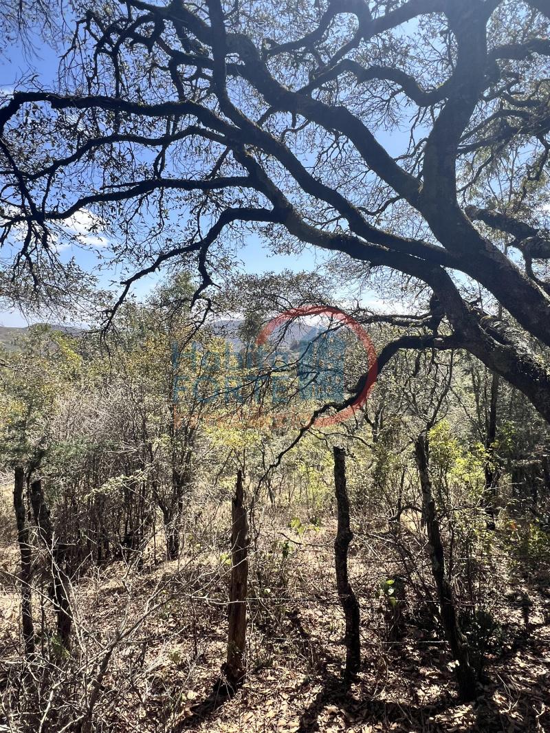 Venta de Terreno en SAN LUIS POTOSI, SIERRA DE ALVAREZ