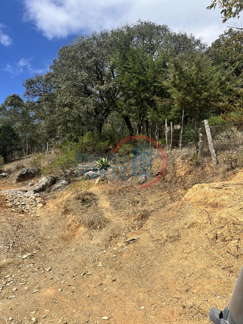 Venta de Terreno en SAN LUIS POTOSI, SIERRA DE ALVAREZ