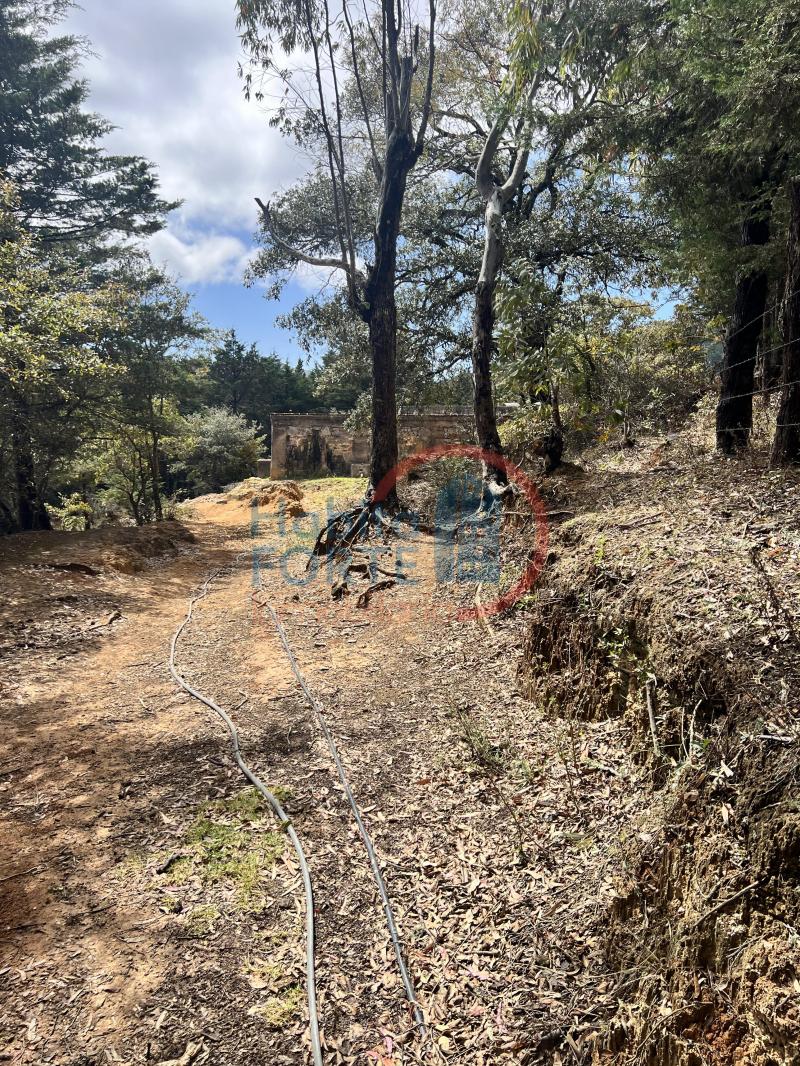 Venta de Terreno en SAN LUIS POTOSI, SIERRA DE ALVAREZ