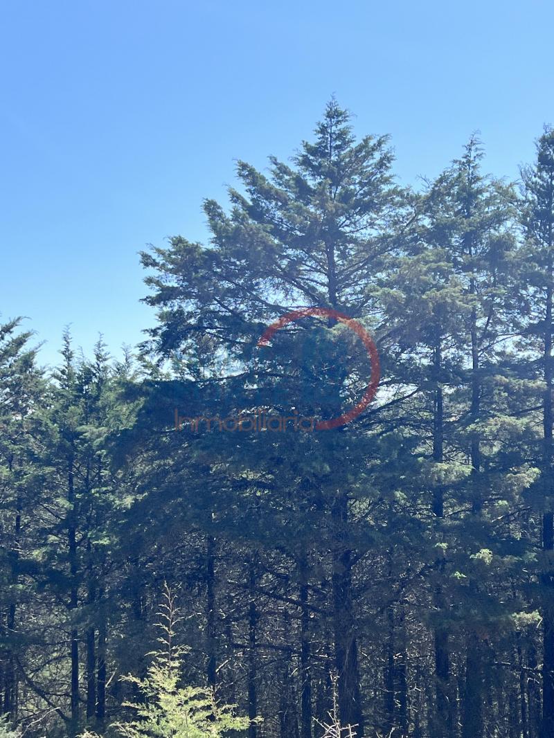 Venta de Terreno en SAN LUIS POTOSI, SIERRA DE ALVAREZ