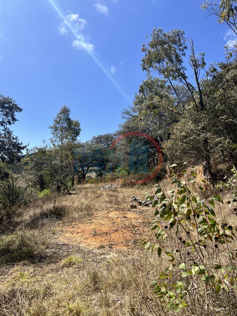 Venta de Terreno en SAN LUIS POTOSI, SIERRA DE ALVAREZ