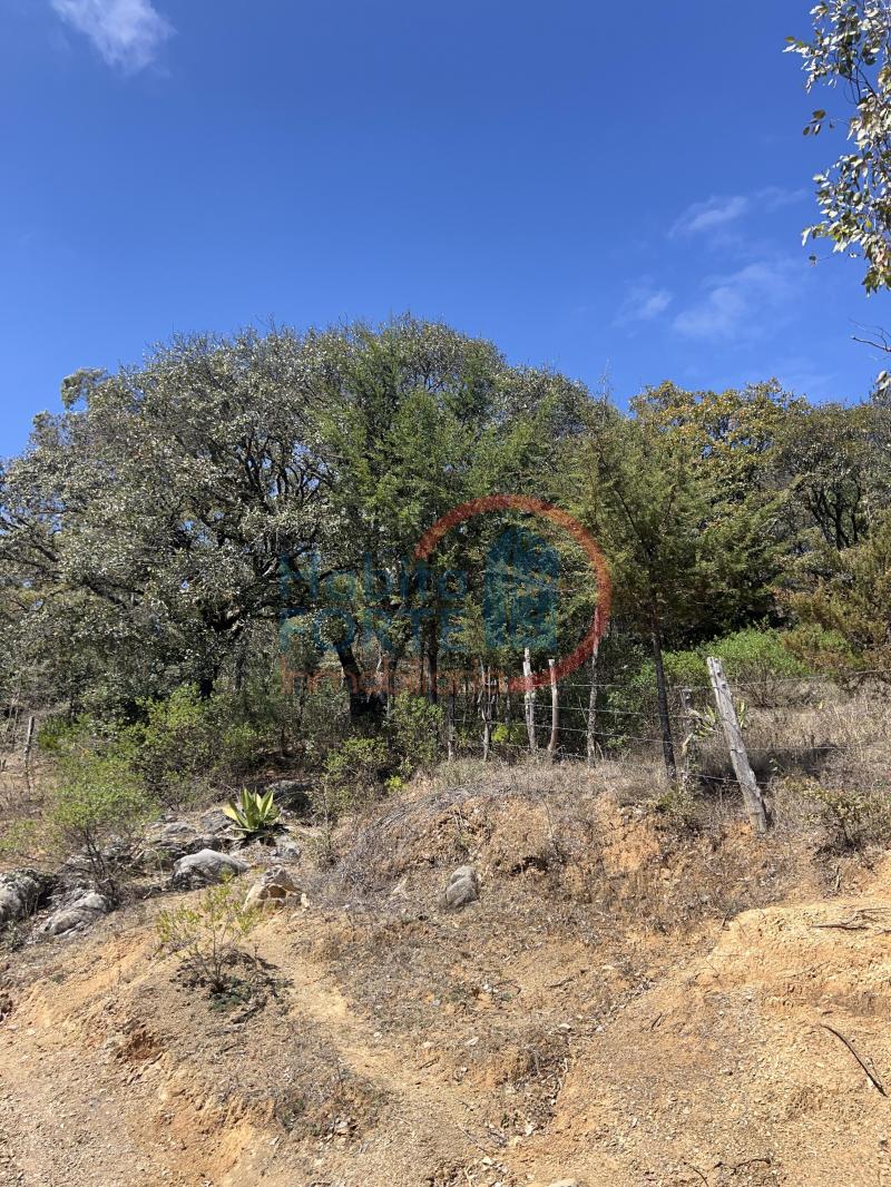 Venta de Terreno en SAN LUIS POTOSI, SIERRA DE ALVAREZ