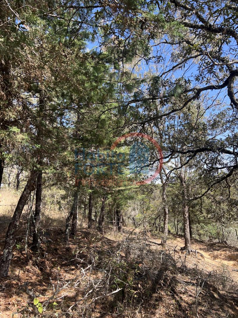 Venta de Terreno en SAN LUIS POTOSI, SIERRA DE ALVAREZ