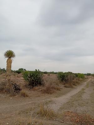 los-angeles-08