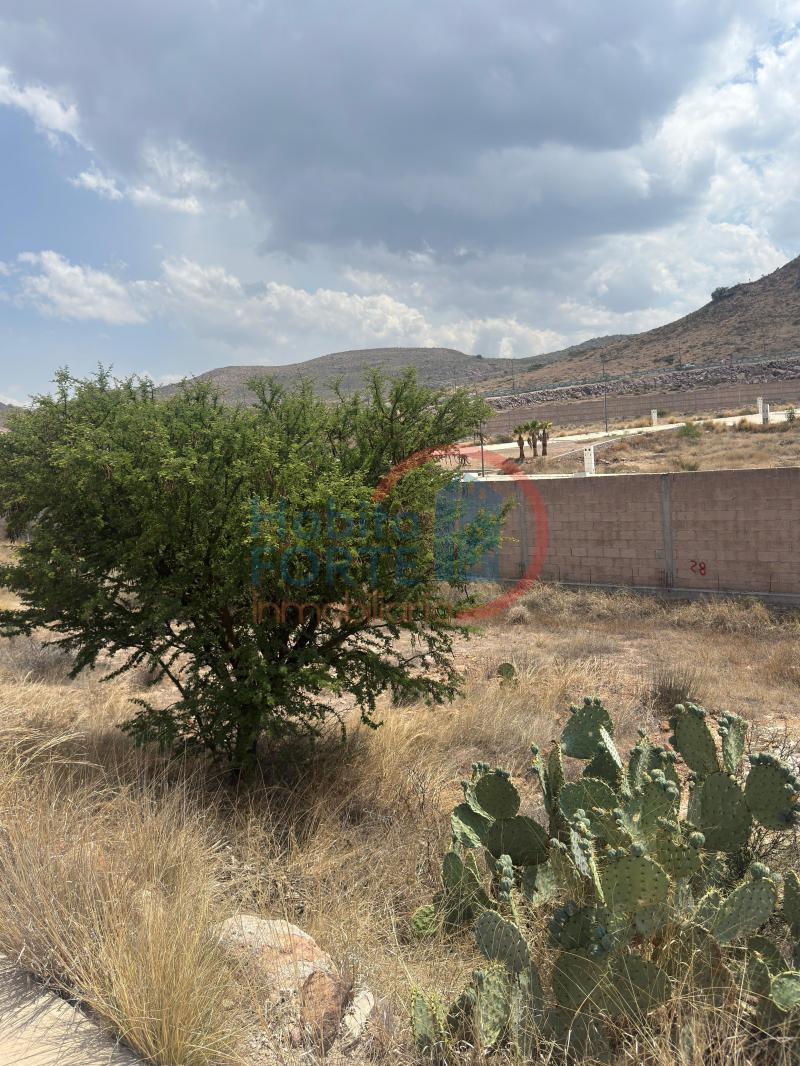 Venta de Terreno en , CAÑADAS GRAN PEÑON