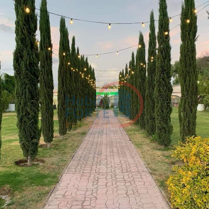 Renta de Salones de fiesta en SAN LUIS POTOSI, DAMIAN CARMONA