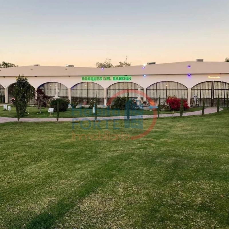 Renta de Salones de fiesta en SAN LUIS POTOSI, DAMIAN CARMONA