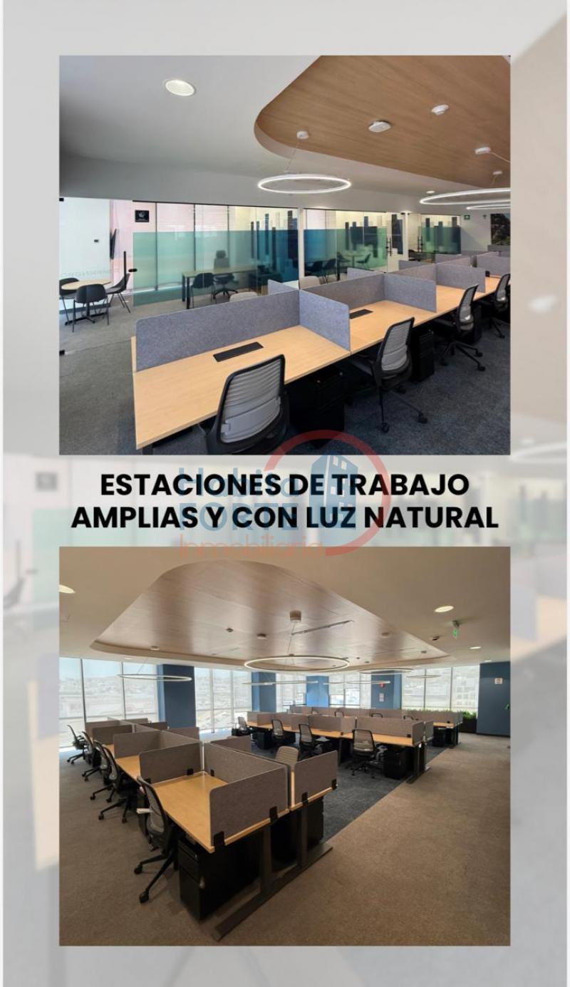Renta de Amueblado en SAN LUIS POTOSI, LOMAS DEL TEC