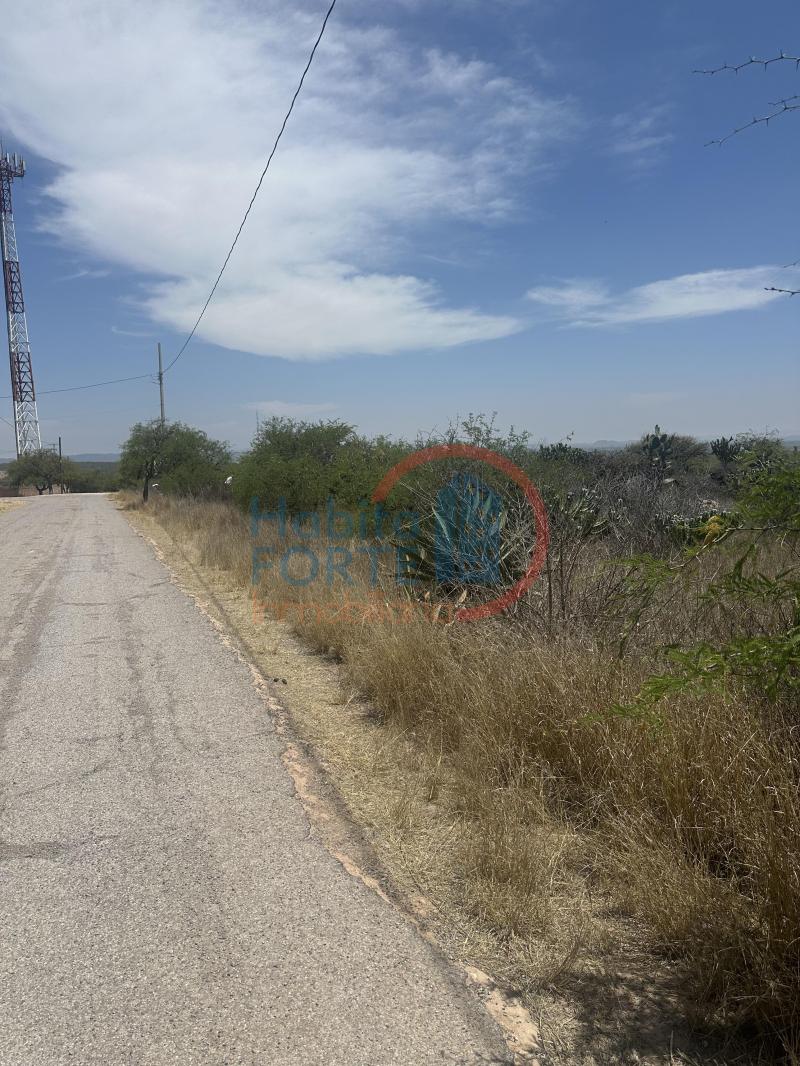 Venta de Terreno en , SALITRILLO LOS RODRIGUEZ