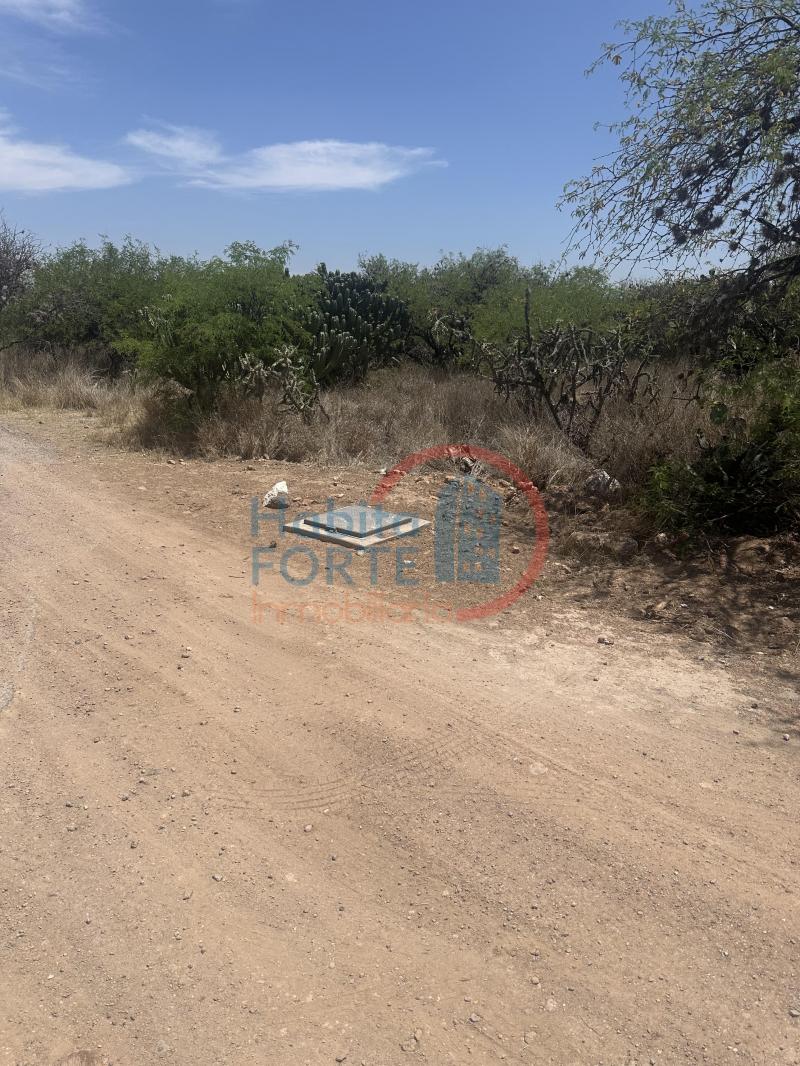 Venta de Terreno en , SALITRILLO LOS RODRIGUEZ