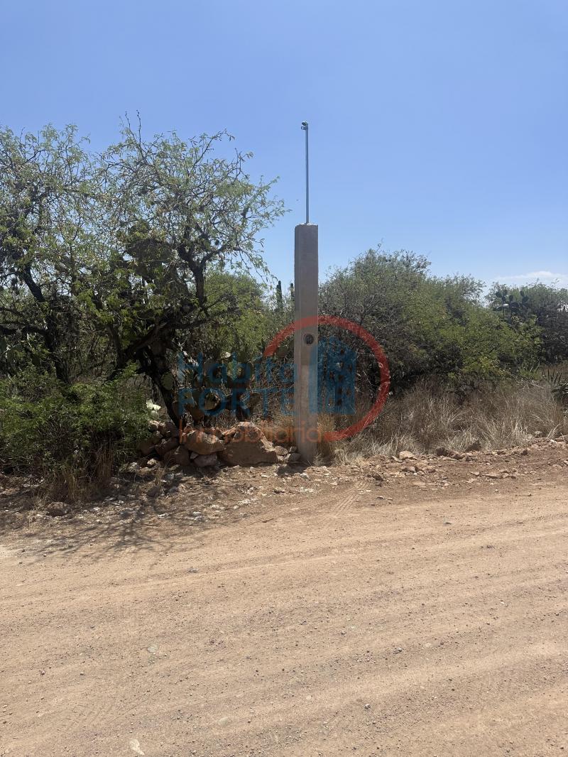 Venta de Terreno en , SALITRILLO LOS RODRIGUEZ