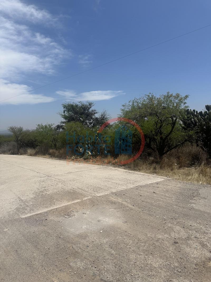 Venta de Terreno en , SALITRILLO LOS RODRIGUEZ